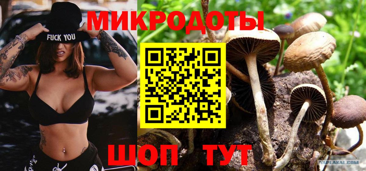 Галлюциногенные грибы мухоморы  Вход с VPN  купить наркотик  Сосновый Бор  Псилоцибиновые грибы прущие грибы 